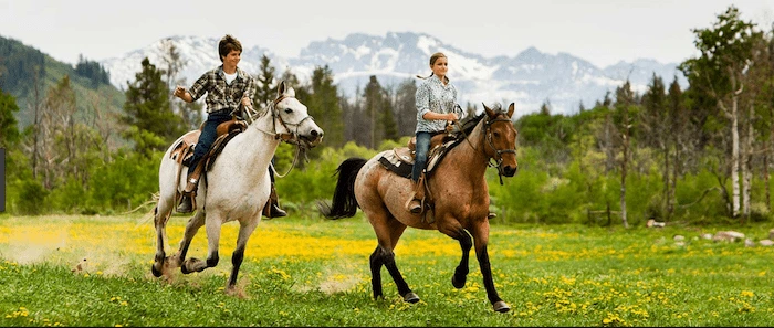 Confident plus-size woman riding Enfield a horse through a field with a smile on her face.